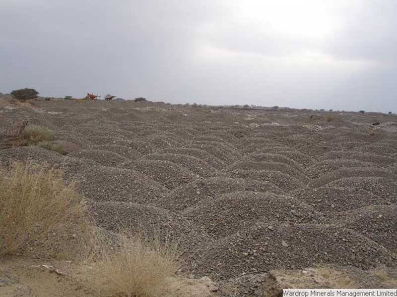 Desert stock piles